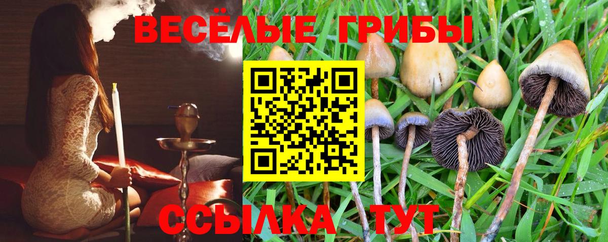 Урюпинск  Галлюциногенные грибы мухоморы  Вход с VPN  Галлюциногенные грибы мухоморы 